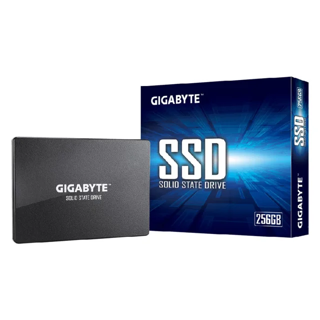 اس اس دی اینترنال گیگابایت مدل GP-GSTFS31256GTND ظرفیت 256 گیگابایت 102747208